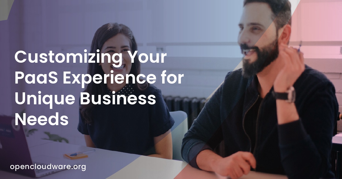 Customizing Your PaaS Experience for Unique Business Needs