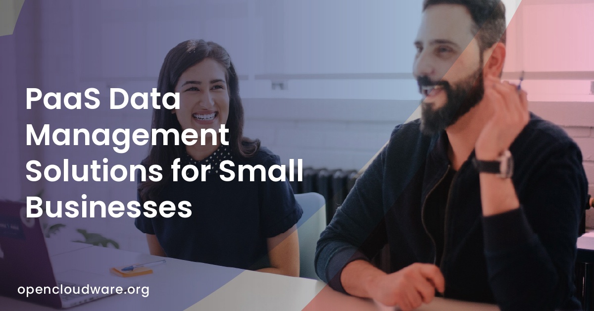 PaaS Data Management Solutions for Small Businesses